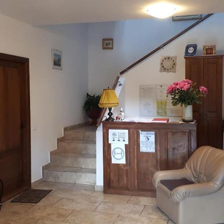 Hotel Casa Paduricea Dezmir Esterno foto