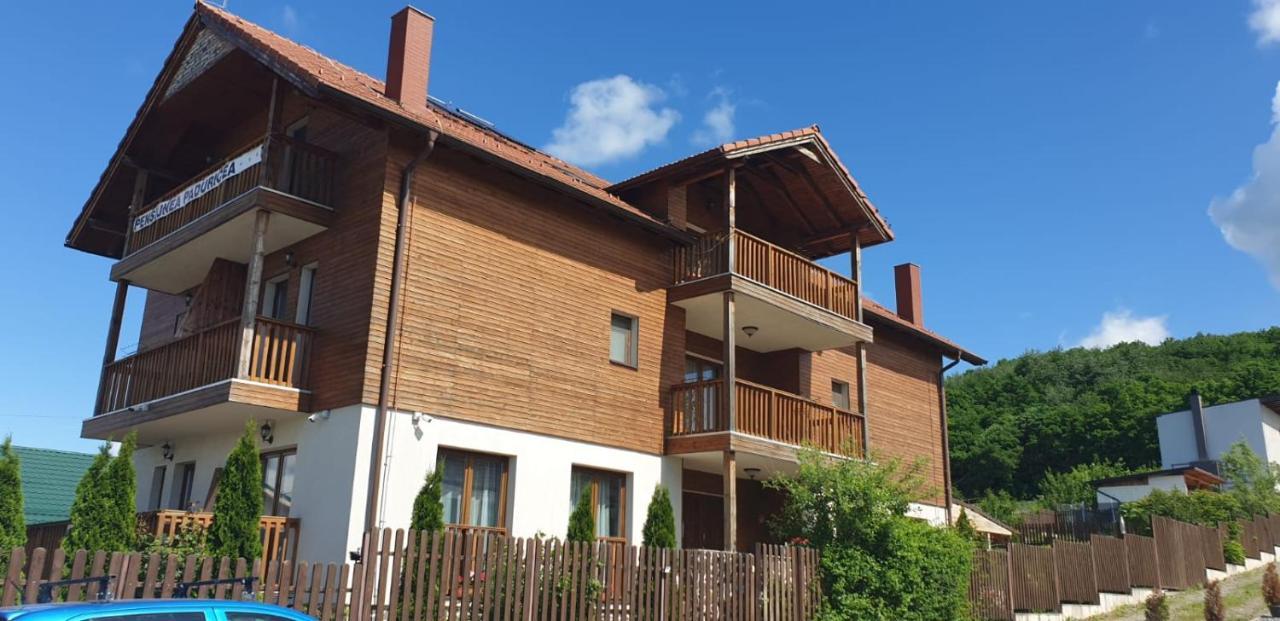 Hotel Casa Paduricea Dezmir Esterno foto