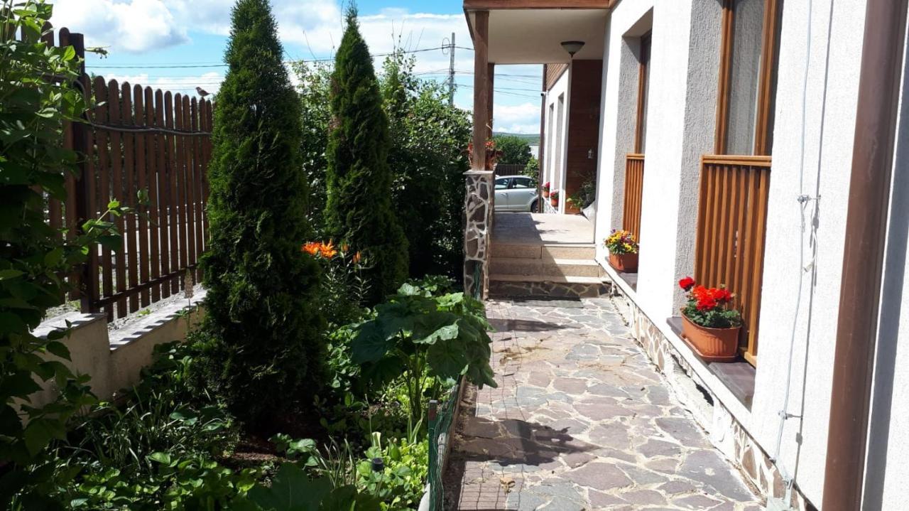 Hotel Casa Paduricea Dezmir Esterno foto