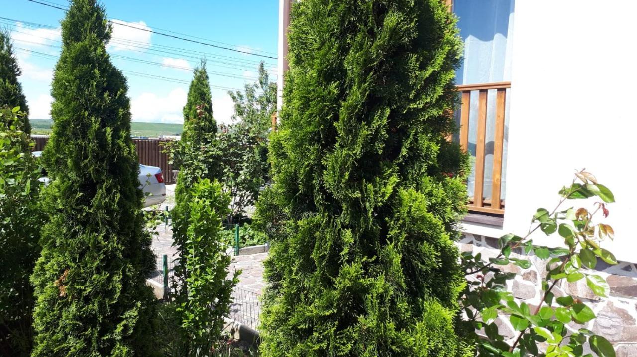 Hotel Casa Paduricea Dezmir Esterno foto