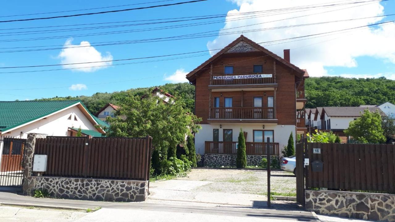 Hotel Casa Paduricea Dezmir Esterno foto